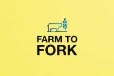 Farm to Fork